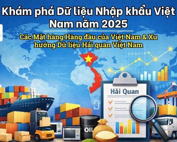 Khám phá Dữ liệu Nhập khẩu Việt Nam năm 2025: Các Mặt hàng Hàng đầu của Việt Nam & Xu hướng Dữ liệu Hải quan Việt Nam