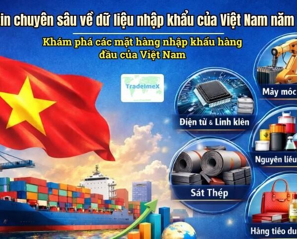 Thông tin chuyên sâu về dữ liệu nhập khẩu của Việt Nam năm 2025: Khám phá các mặt hàng nhập khẩu hàng đầu của Việt Nam
