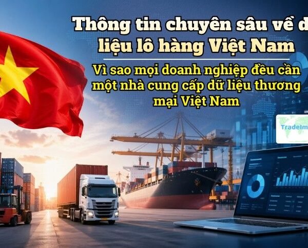 Thông tin chuyên sâu về dữ liệu lô hàng Việt Nam: Vì sao mọi doanh nghiệp đều cần một nhà cung cấp dữ liệu thương mại Việt Nam