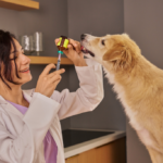 24/7 Pet Clinic in Dubai