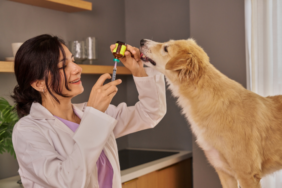 24/7 Pet Clinic in Dubai