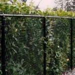 Fence Construction Asheville