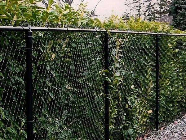 Fence Construction Asheville