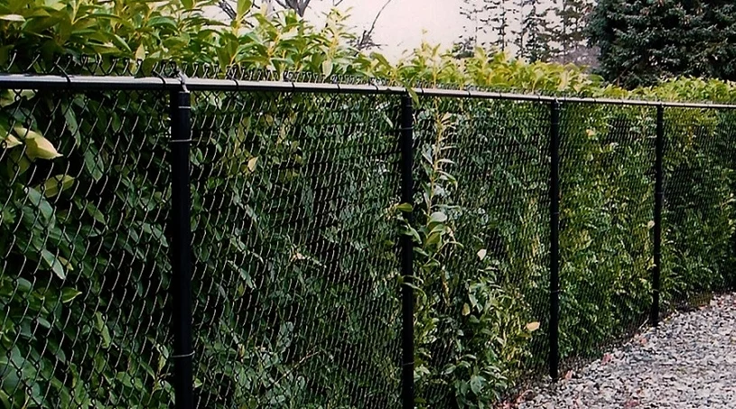 Fence Construction Asheville