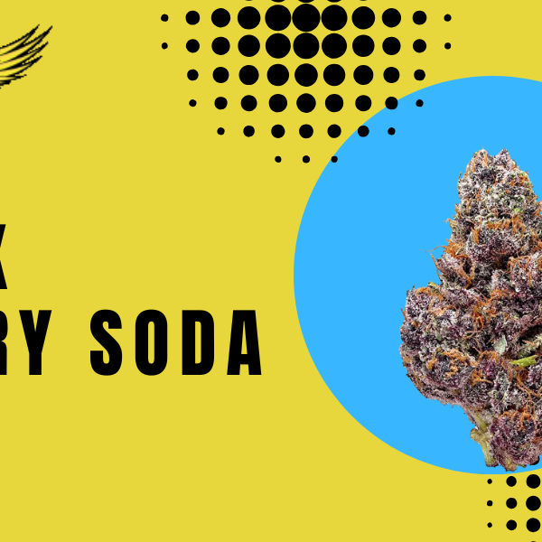 Black Cherry Soda