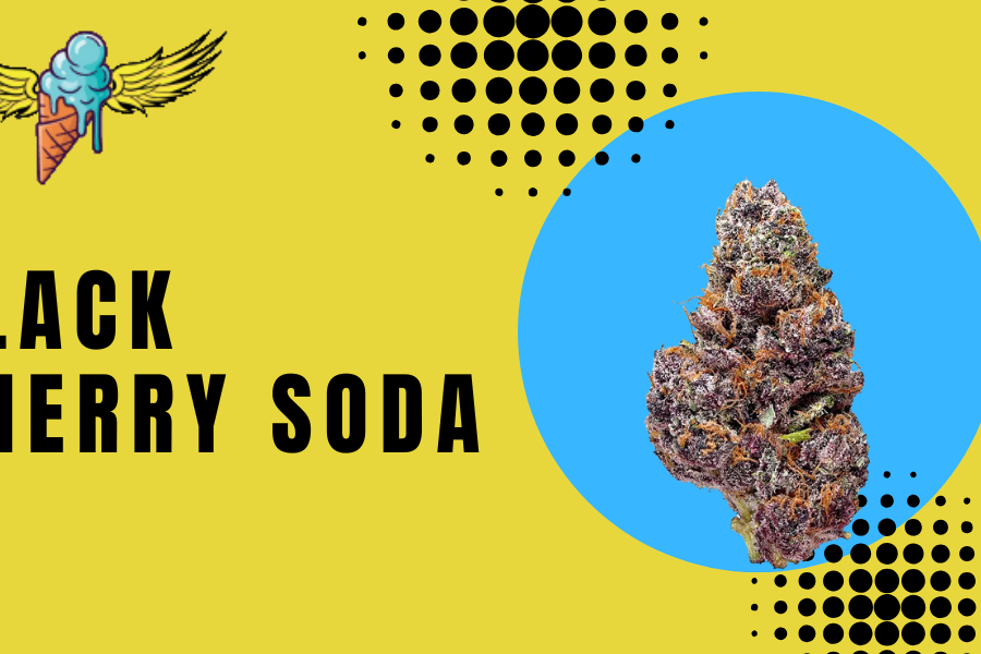 Black Cherry Soda