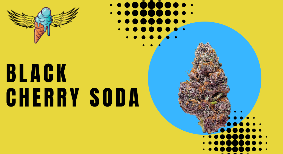 Black Cherry Soda