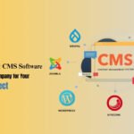 CMS Website Development Services
