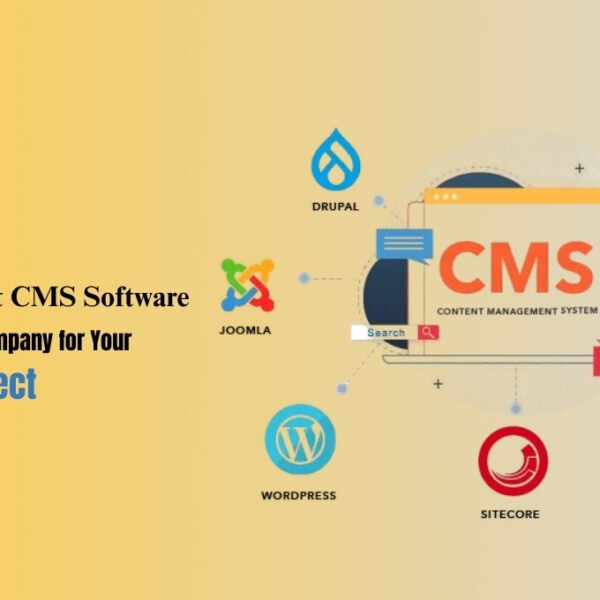 CMS Website Development Services