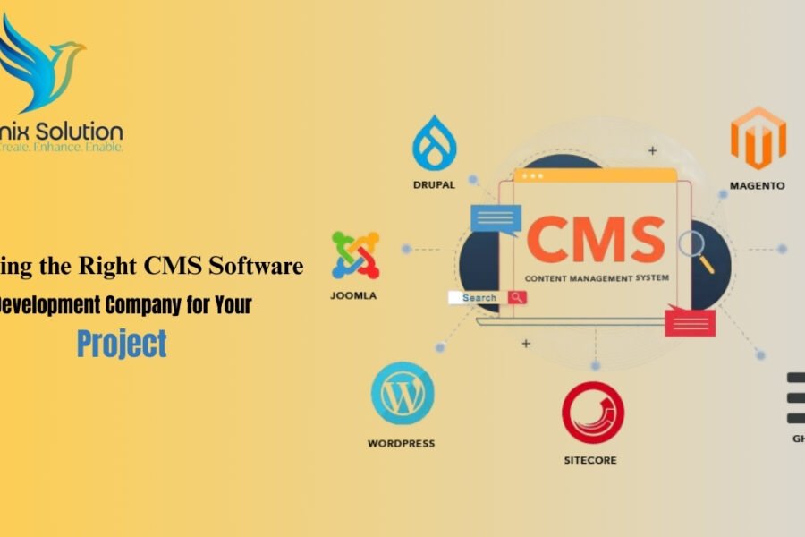 CMS Website Development Services