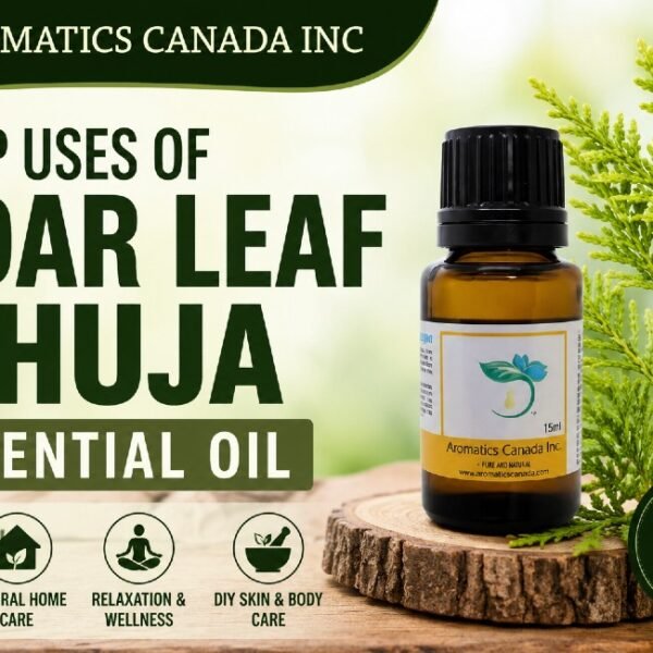 Cedar Leaf Thuja Essential Oil