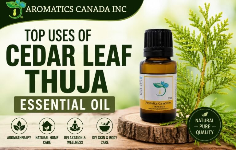 Cedar Leaf Thuja Essential Oil