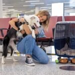 How to Prepare Pets for International Travel to Canada