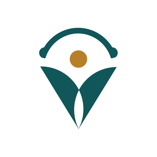 virtual medical scribe