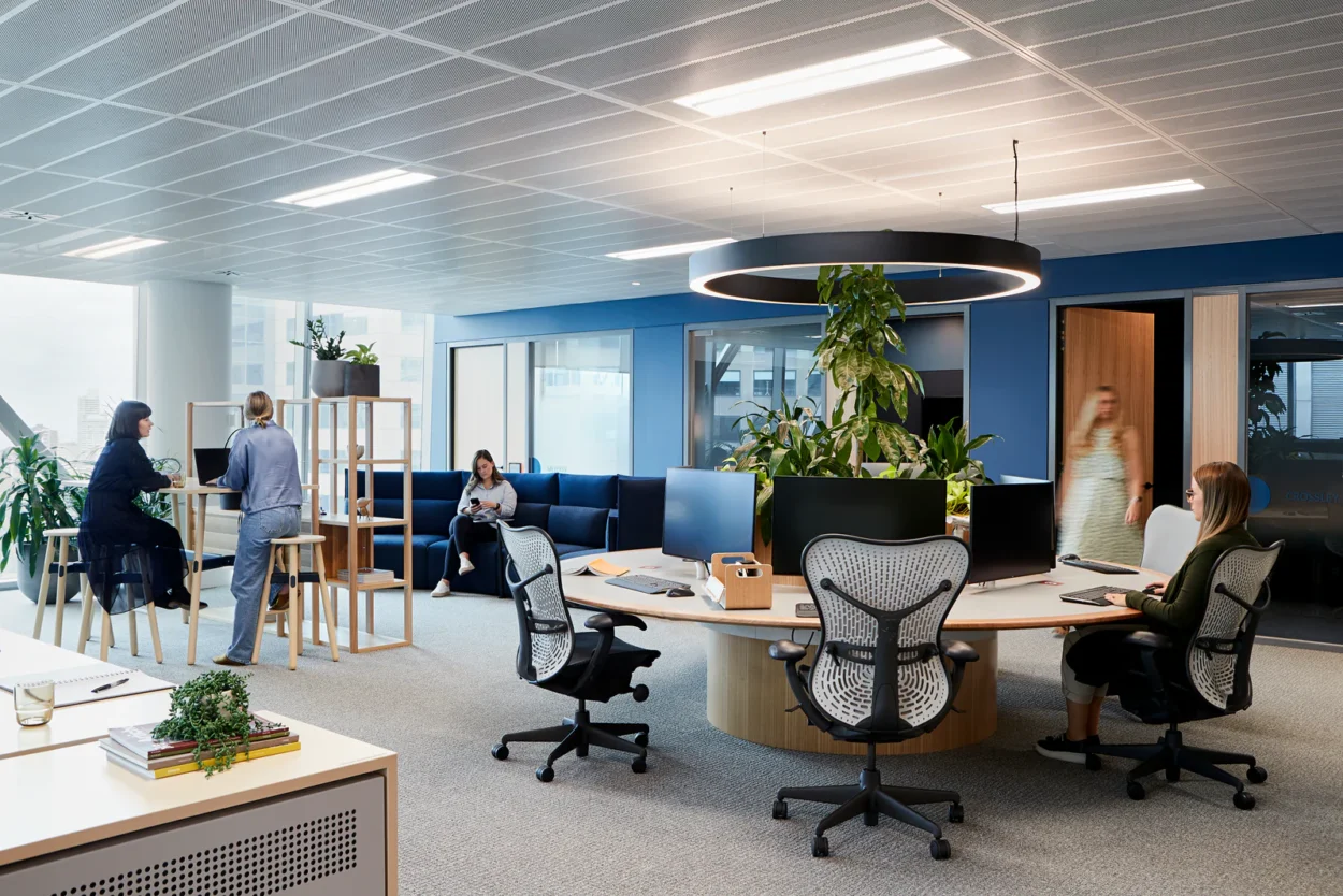 Office Fitouts