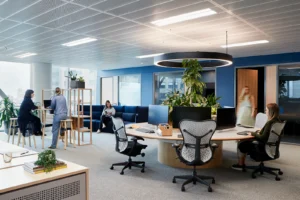 Office Fitouts