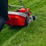 Lawn Care