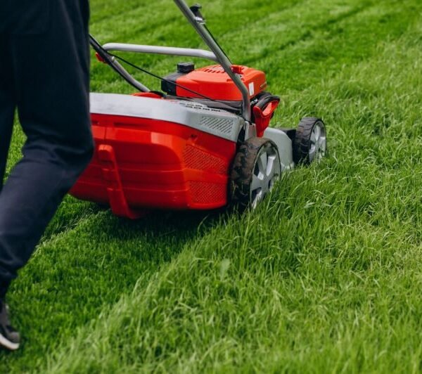 Lawn Care