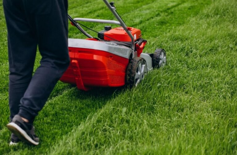 Lawn Care