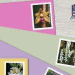 stamp catalog