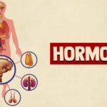 Why More Men Are Exploring Hormone Wellness Treatments