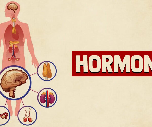 Why More Men Are Exploring Hormone Wellness Treatments