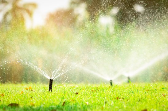Why Regular Fire Sprinkler Maintenance Saves Lives