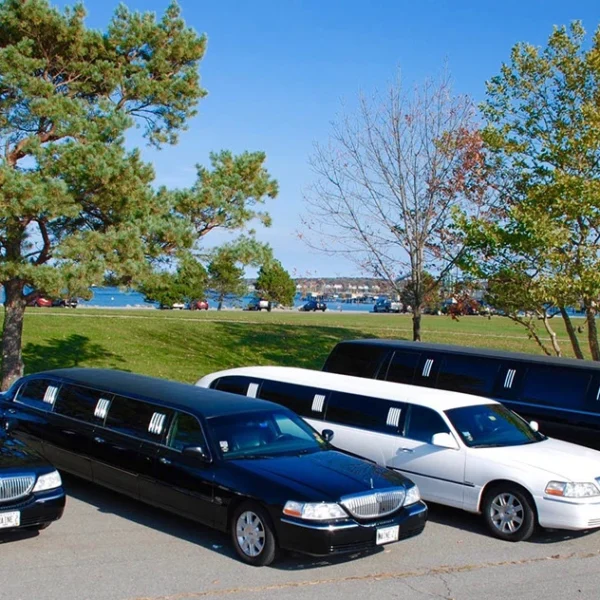 FIFA World Cup Limo Service