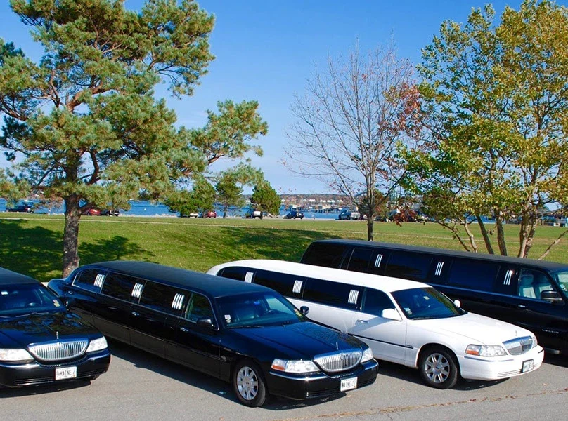 FIFA World Cup Limo Service