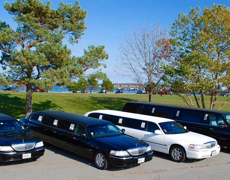 FIFA World Cup Limo Service