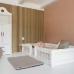 Kids Bed Frames