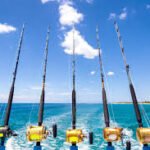 sea fishing rods