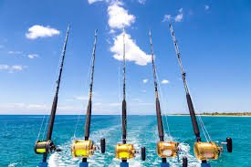 sea fishing rods