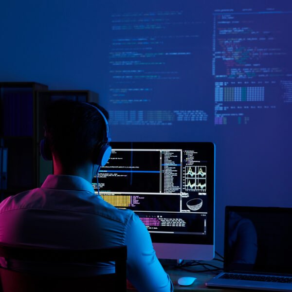 software development