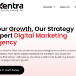 Sxentra Digital Marketing agenicy