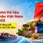 Khám phá Dữ liệu Xuất khẩu Việt Nam năm 2025 cùng các mặt hàng xuất khẩu chủ lực của Việt Nam