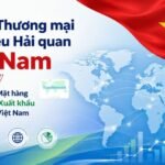 Dữ liệu Thương mại và Dữ liệu Hải quan Việt Nam Mới nhất: Khám phá các Mặt hàng Nhập khẩu và Xuất khẩu Hàng đầu của Việt Nam