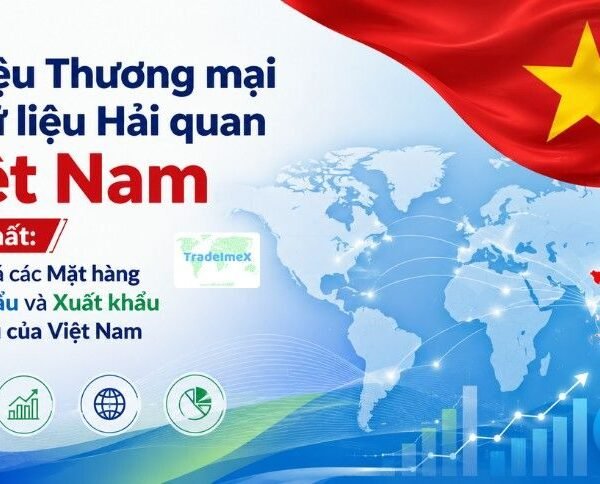 Dữ liệu Thương mại và Dữ liệu Hải quan Việt Nam Mới nhất: Khám phá các Mặt hàng Nhập khẩu và Xuất khẩu Hàng đầu của Việt Nam