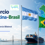 Comercio Argentina-Brasil 2025: Datos de Comercio Bilateral Perspectivas