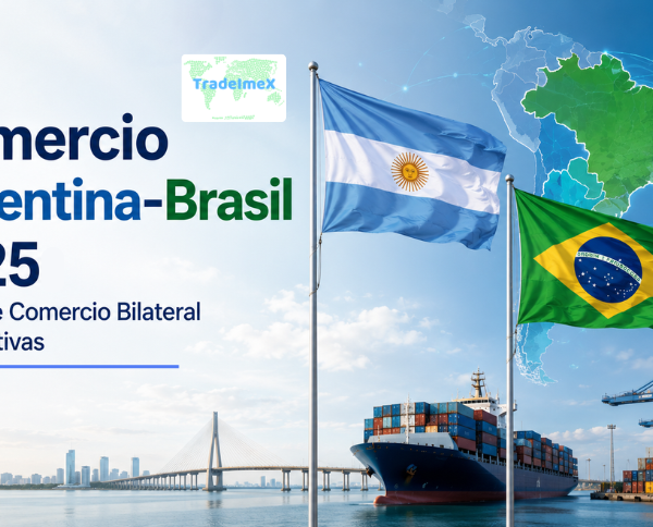 Comercio Argentina-Brasil 2025: Datos de Comercio Bilateral Perspectivas