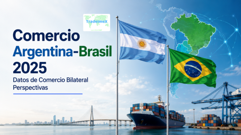 Comercio Argentina-Brasil 2025: Datos de Comercio Bilateral Perspectivas